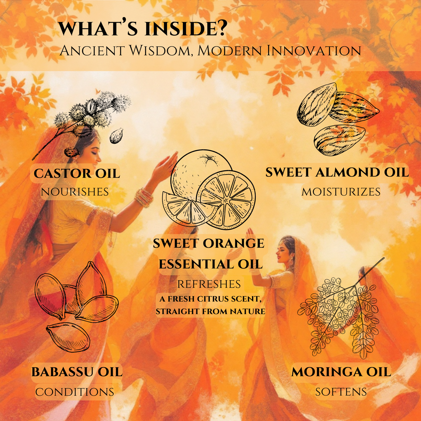 castor, sweet almond, moringa, sweet orange, and babassu oil infographic for halva beauty