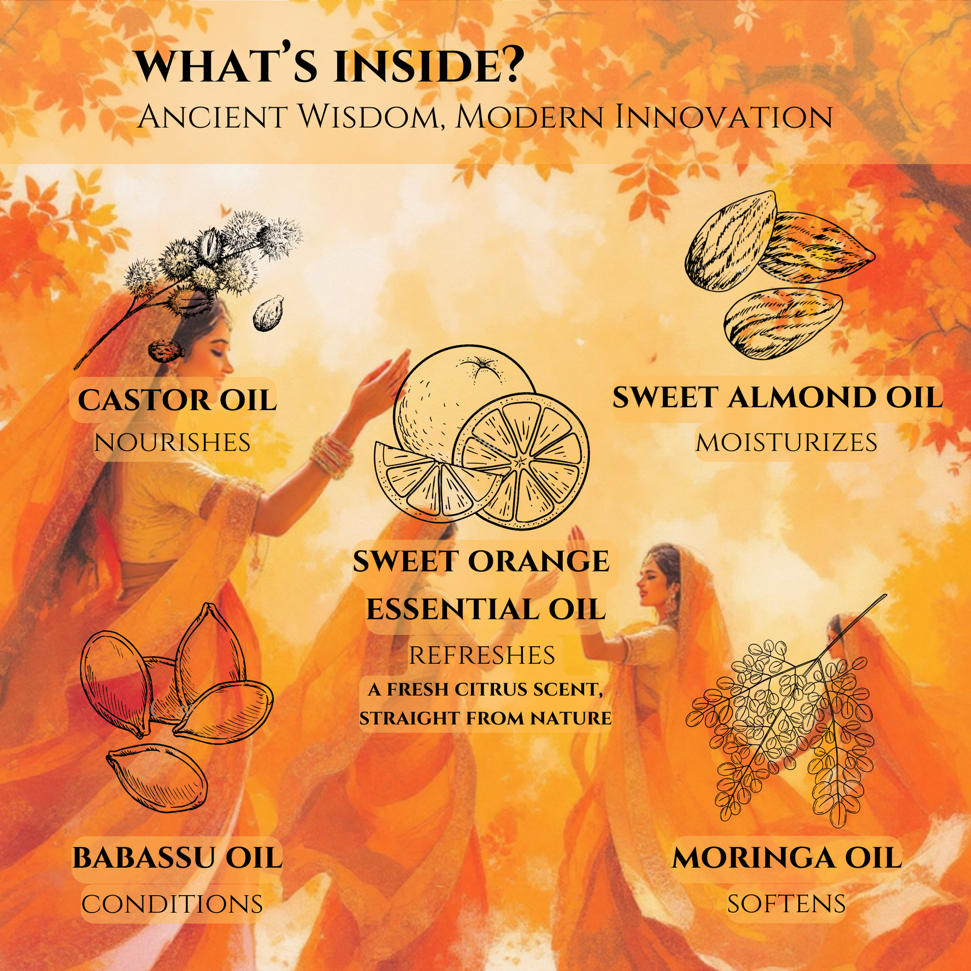 castor, sweet almond, moringa, sweet orange, and babassu oil infographic for halva beauty