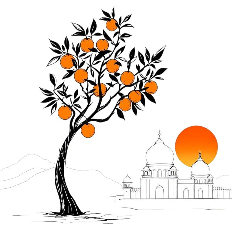 illustration of an orange tree symbolizing the sweet orange oil in halva beauty nourishing brow oil with a sun setting behind a south asian architectural backdrop