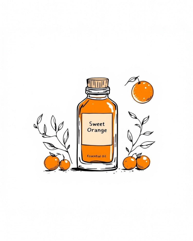 sweet orange essential oil illustration used in halva beauty nourishing brow oil for a light citrus scent and a refreshing brow care experience